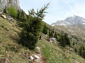 15-Si intravede il passo Olone